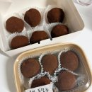 펫기사(행복나눔365) | 일년 만에 돌아온 1인의 일상