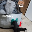 누리펫