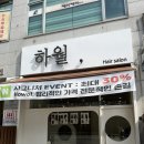 하월헤어성정두정점