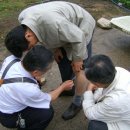 디모데농장 이미지