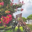 용주사효행박물관(휴관) | 수원 아이와 가볼만한 곳 수원화성박물관 무료입장 팁 천년효행 그 8일 전시후기