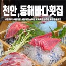 천안 두정동 회 맛집 '동해바다 횟집' 해물찜 모듬회 세트 후기 룸식당