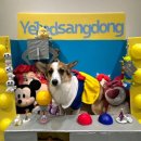 옐레드 부천상동점 이미지