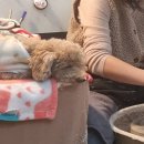 현촌유치원 앞 | 평택원데이클래스 태미공방 물래체험 솔직후기