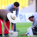 종합운동장 잔디그라운드 이미지