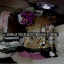 라이프패킹