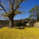 진도우리화원 이미지