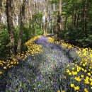 더블부동산공인중개사사무소 이미지