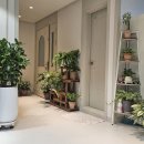 금릉역로 | 파주 신점 후기｜2024년 신내림받으신 마음까지 안아준 따듯한 파주용한점집 금촌 일월아씨