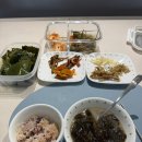 [일상]이천:산모신생아서비스+AHC아이크림+네일하로(내성발톱교정)