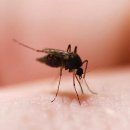 공덕역마트약국 이미지