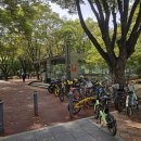 천사약국 | [종합운동장역] 아기천사 만나기 첫걸음🎠