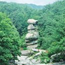 사선대황토펜션 이미지