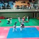 퇴계태권도장 이미지