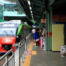 미림 유치원 이미지