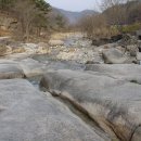 갈론사랑 이미지