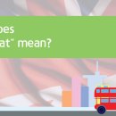 배부른고양이 이미지