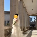 네일더고은 | [헬퍼] 더 고은 / 고은헬퍼님 촬영 후기 / 촬영 드레스 대여 후기