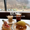 (공연) 더 뉴 콰르텟 | 가평 대형 베이커리 카페 몽브레뉴, 애견동반과 힐링뷰 내돈내산 후기