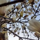 순덕축산 네이버블로그