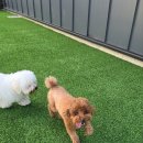 옹기종기 이미지