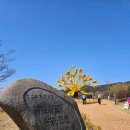 평촌여성경로당 | 구례 산수유마을 사랑공원 개화상황(25년 3월 14일)