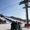 비발디렌통령 네이버블로그