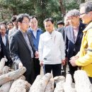 김순규농장 이미지