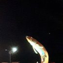 양양늘솔길 이미지