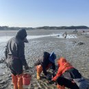 처음처럼 펜션 2 | [태안 펜션] 해루질 가능한 펜션 그림속풍경 맛조개랑 동죽 잔뜩 잡은 후기