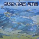 모드니여행사