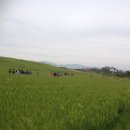 미옥농장 이미지