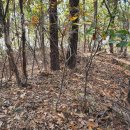 고루(古壘) | 평택 봉남리산성(平澤 鳳南里山城)