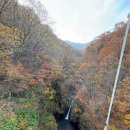 뉴라온다이어트캠프 이미지