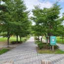 충숙공 권절 정려 이미지