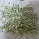 그린피드 | 토끼 기니피그 소동물 주식 먹이 티모시 쇼핑몰 그린피드 2010년부터 내돈내산 이용 후기