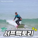 세븐일레븐동해점 | 동해 서핑 입문 추천! 물 무서워하는 사람도 성공한 서프팩토리