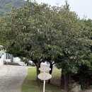 프라이빗 감성 끝판왕! 여수 돌산 하월(霞月) 펜션 브라이덜 샤워 완벽 후기