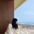 브라운스테이민박 이미지