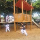 한림태권도체육관 이미지