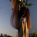 자라다plant