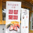 제주곱들락과일모찌 네이버블로그