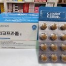 정메디칼 네이버블로그