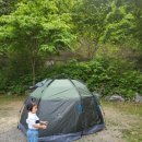 중랑캠핑숲 | 노을캠핑장 vs 중랑캠핑숲 솔직후기｜아이랑 가기 좋은 서울 캠핑장은?