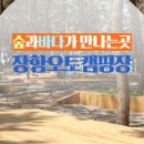 솔바람오토캠핑장 이미지
