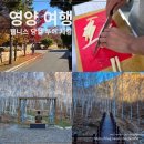 두들마을 음식디미방 | 영양 가을 여행 추천 웰니스 투어 체험 두들마을 자작나무 숲