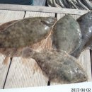 고하대로 672 ~672-1 이미지