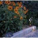 도로시하우스 이미지