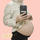 해든의원 | 2월 2주 일상