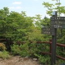 국립산림치유원